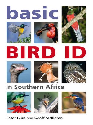 cover image of Basic Bird ID in Southern Africa